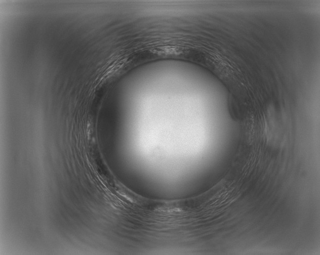 X0000051250747200507082150