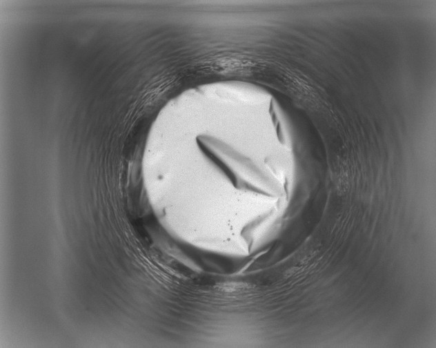 X0000051250748200507082150