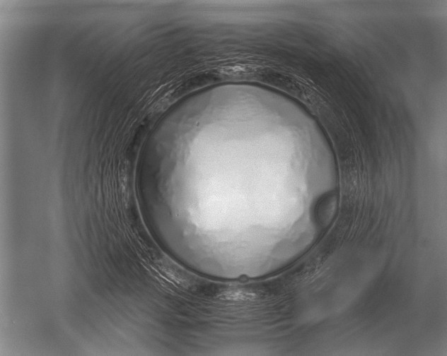 X0000051250749200507082150