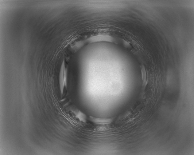 X0000051250750200507082150