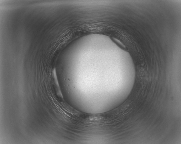 X0000051250752200507082150