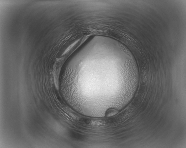 X0000051250753200507082150