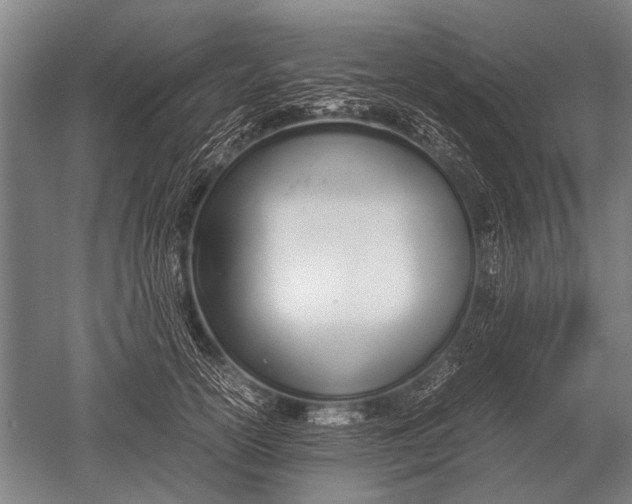 X0000051250754200507082150