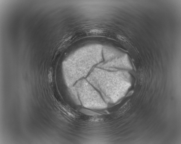 X0000051250760200507082150