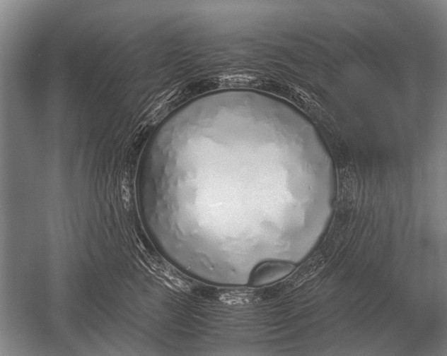 X0000051250761200507082150