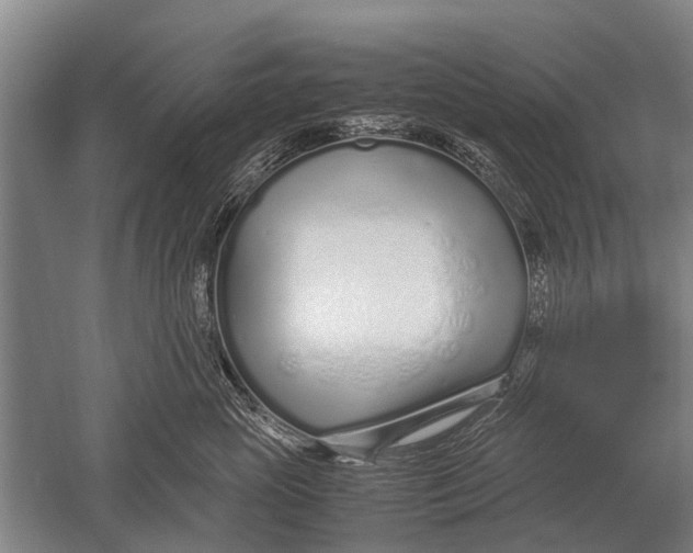 X0000051250765200507082150