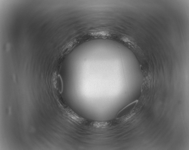 X0000051250767200507082150