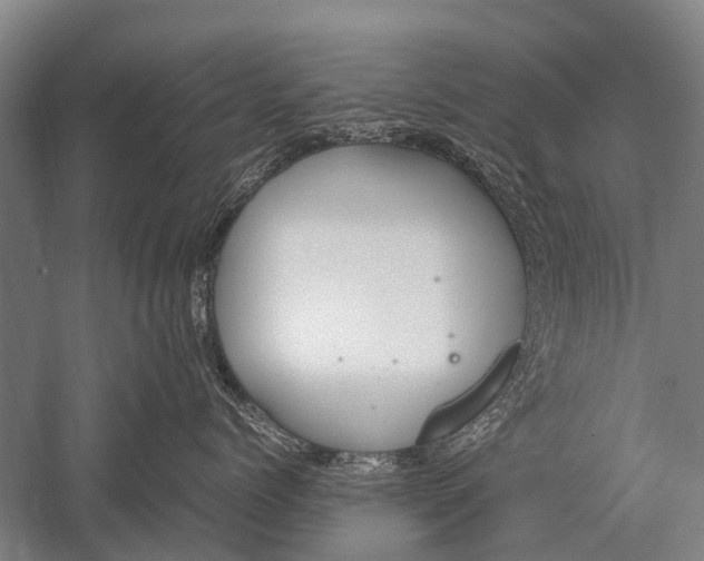 X0000051250768200507082150