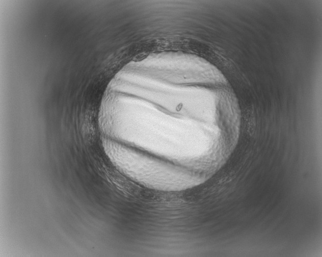 X0000051250770200507082149