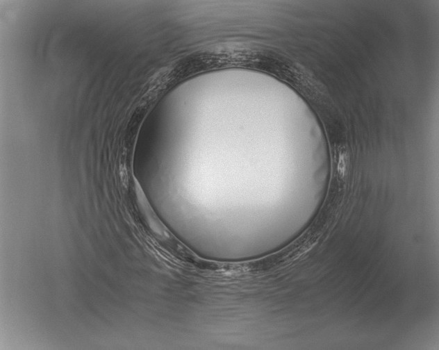 X0000051250771200507082149