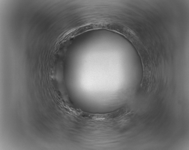 X0000051250773200507082149