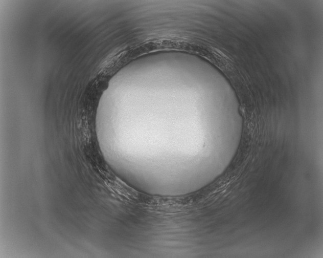 X0000051250774200507082149