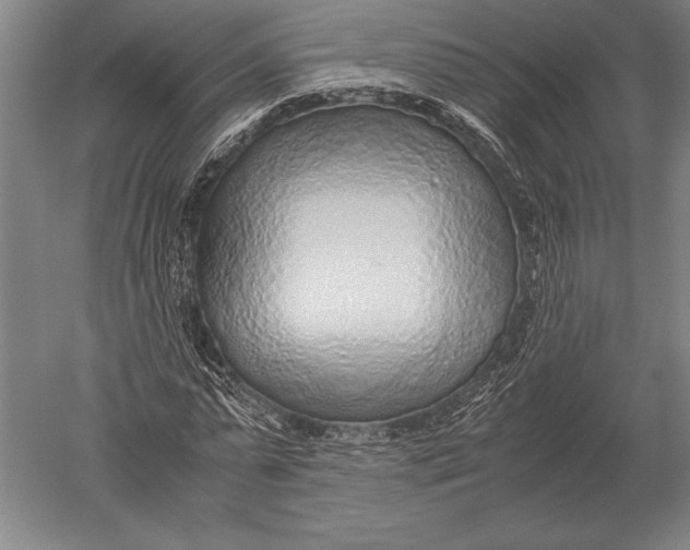 X0000051250775200507082149