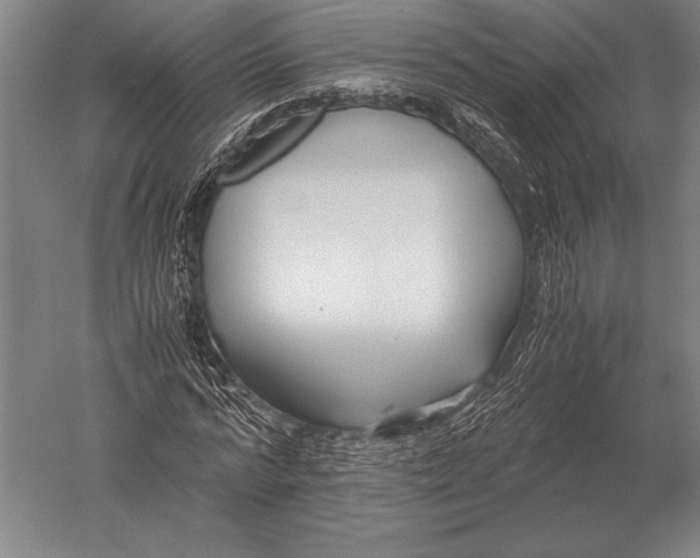 X0000051250776200507082149