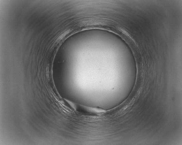 X0000051250777200507082149