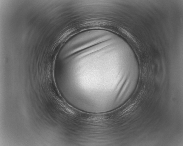 X0000051250778200507082149