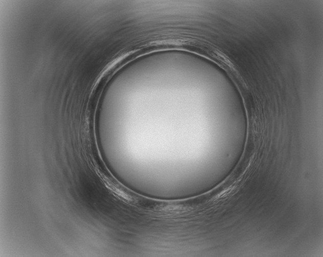 X0000051250779200507082149