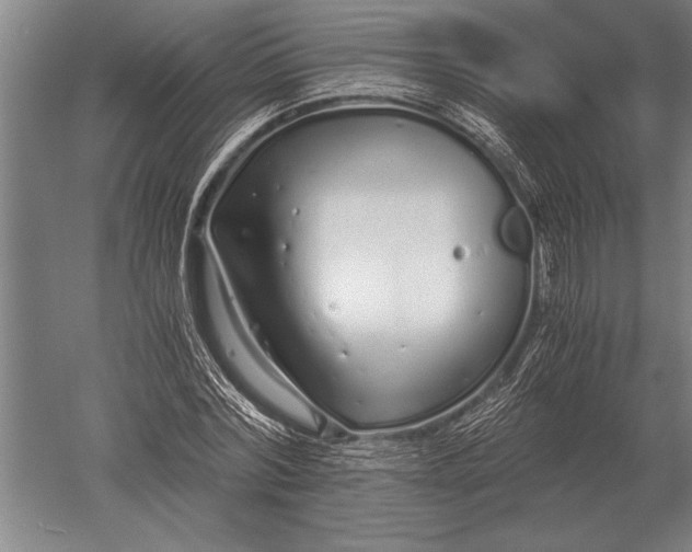 X0000051250780200507082149