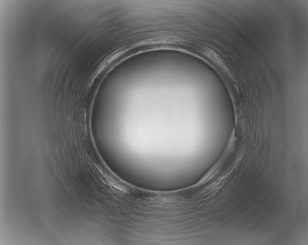 X0000051250781200507082149