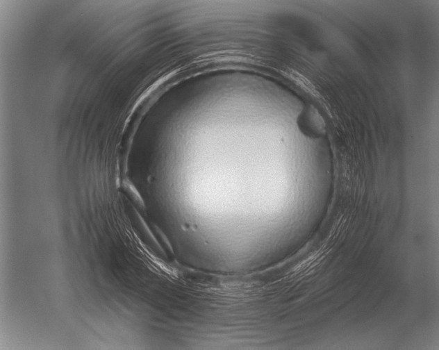 X0000051250782200507082149