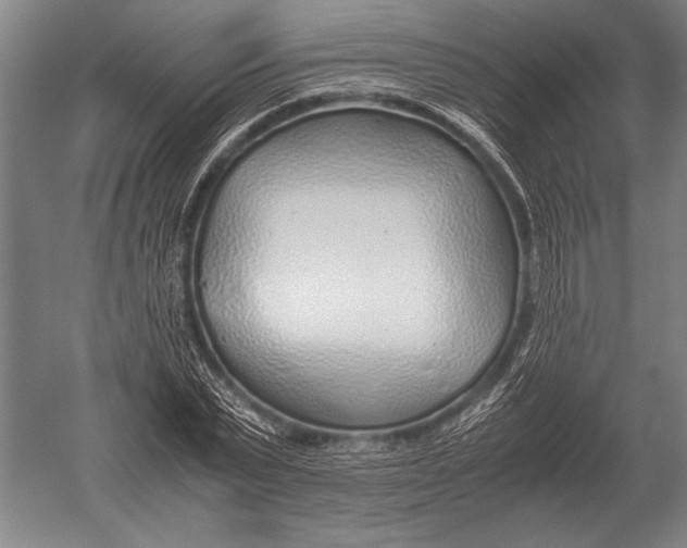 X0000051250783200507082149