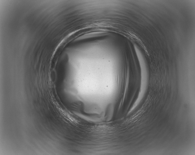 X0000051250784200507082149