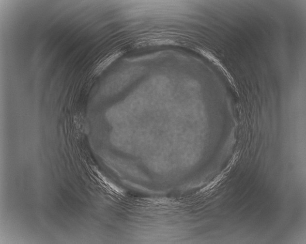 X0000051250785200507082149