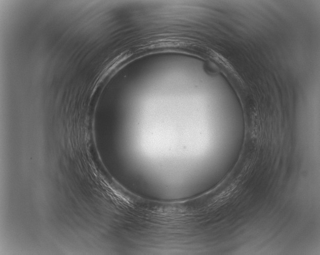 X0000051250786200507082149