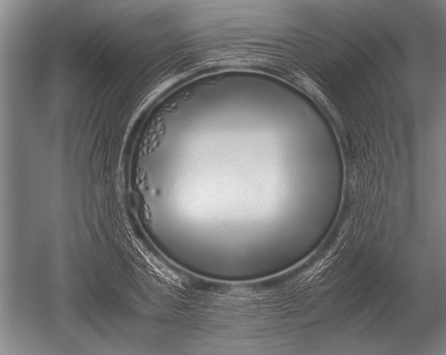 X0000051250787200507082149