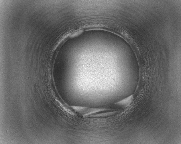 X0000051250789200507082149