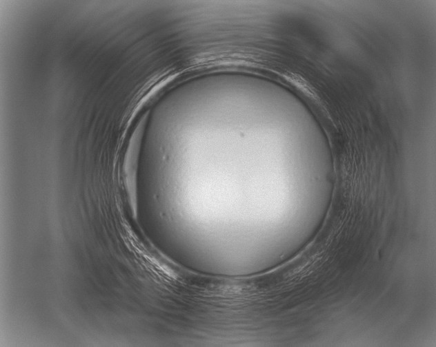 X0000051250790200507082149