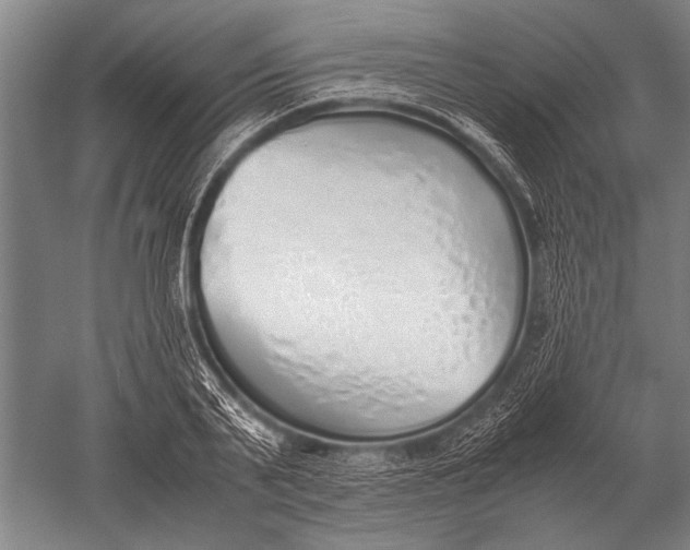 X0000051250791200507082149