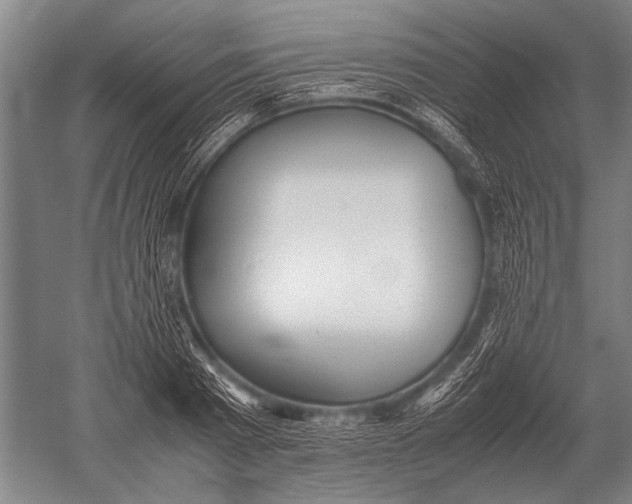 X0000051250793200507082149