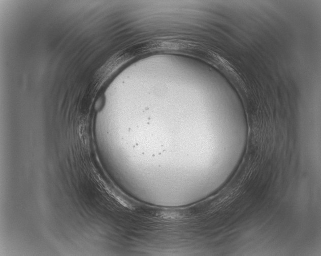 X0000051250794200507082149