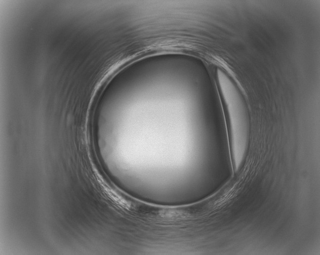 X0000051250795200507082149