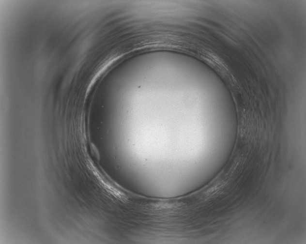 X0000051250796200507082149