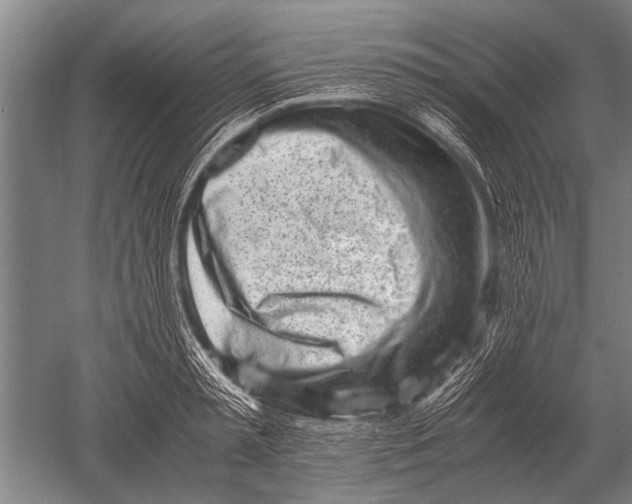 X0000051250797200507082149