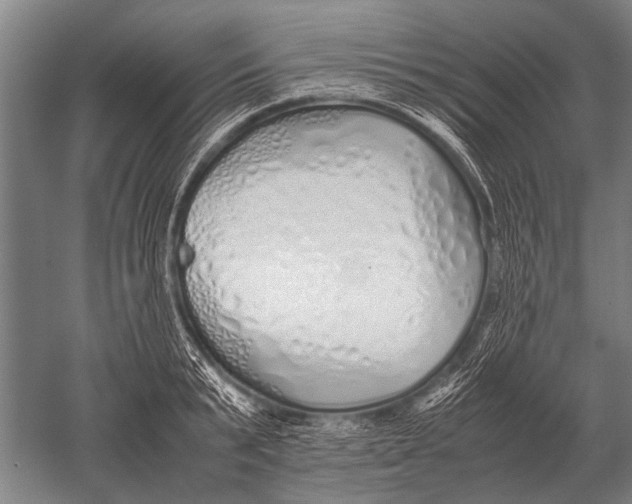 X0000051250799200507082149