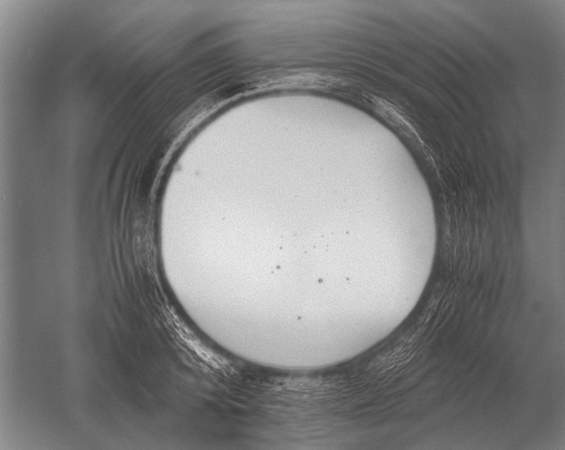 X0000051250800200507082149