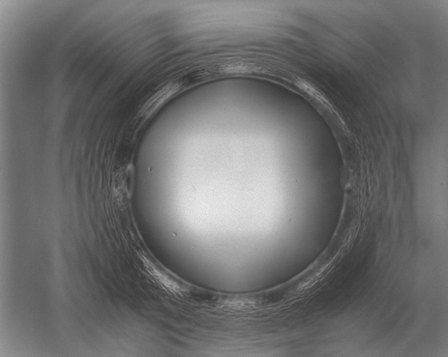 X0000051250801200507082149