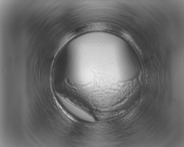 X0000051250802200507082149