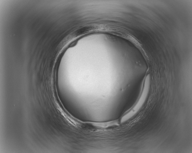 X0000051250803200507082149