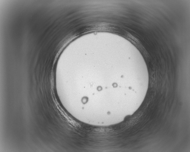 X0000051250804200507082149