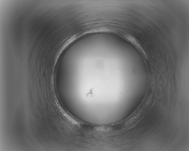 X0000051250805200507082149