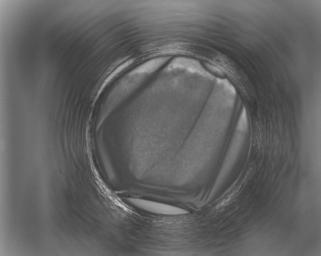 X0000051250806200507082149