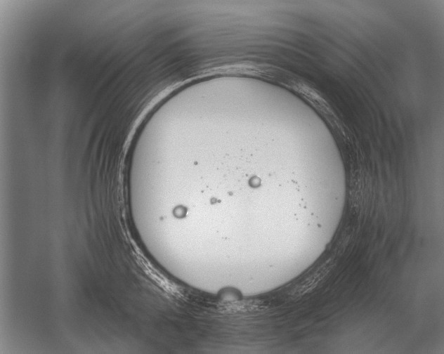 X0000051250808200507082149