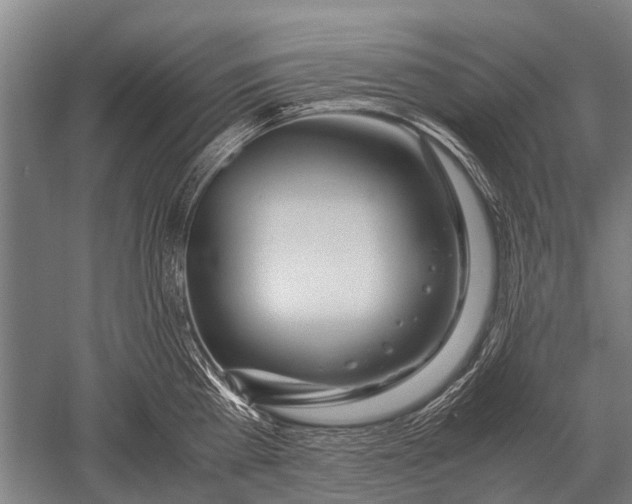 X0000051250809200507082149