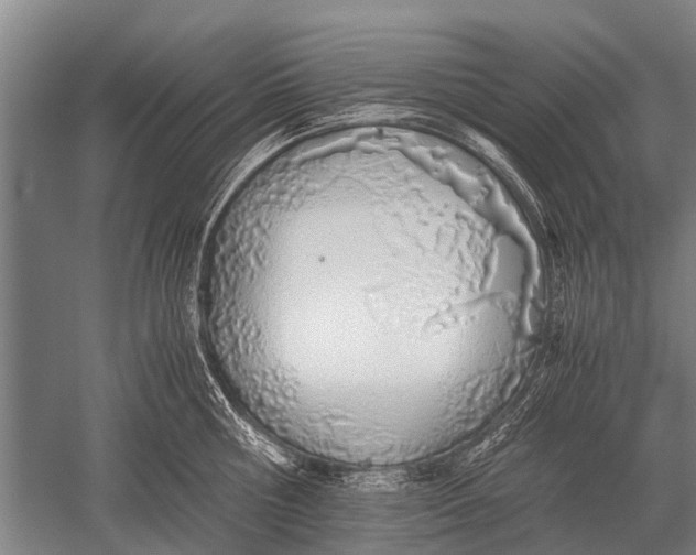 X0000051250810200507082148