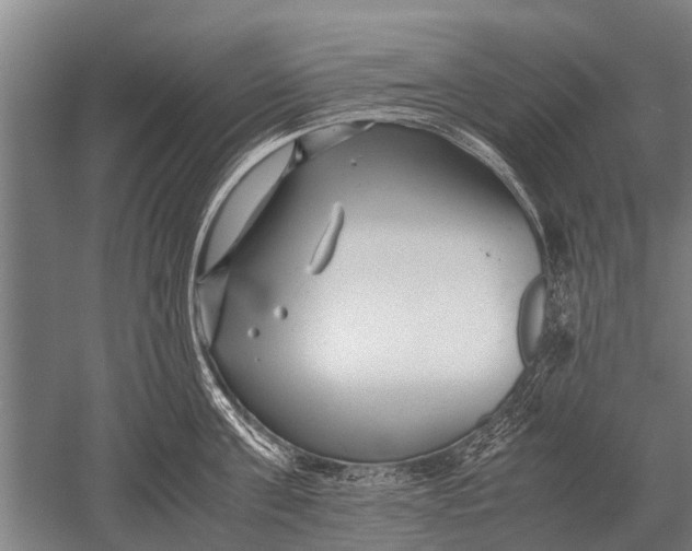 X0000051250811200507082148