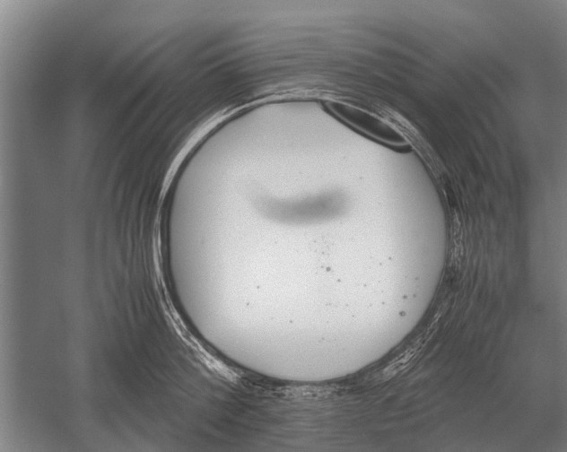 X0000051250812200507082148